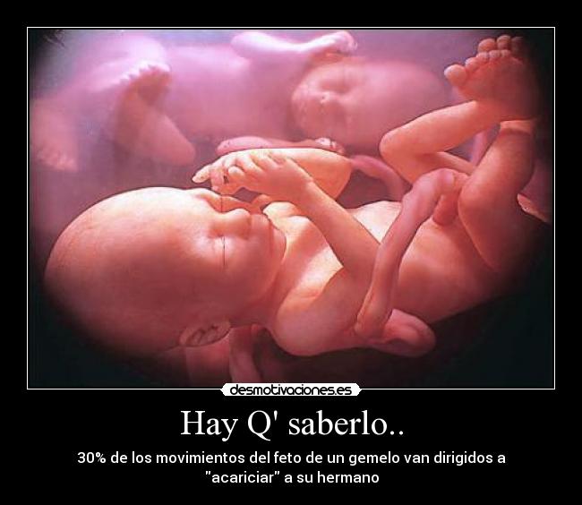 Hay Q saberlo.. - 30% de los movimientos del feto de un gemelo van dirigidos a
acariciar a su hermano