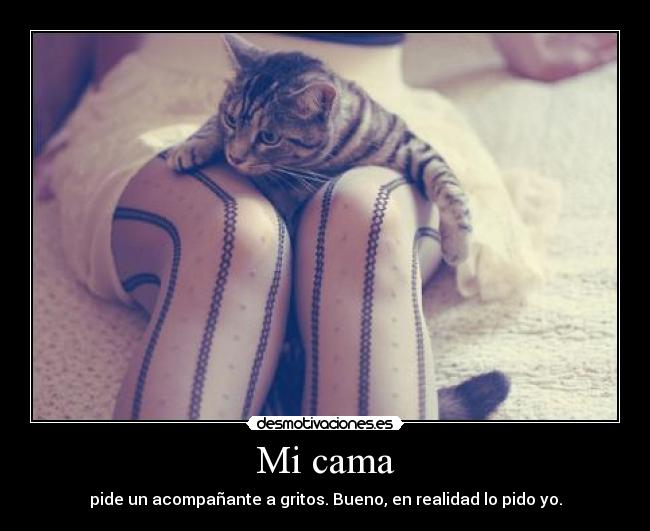 carteles cama pide acompanante gritos bueno realidad pido desmotivaciones