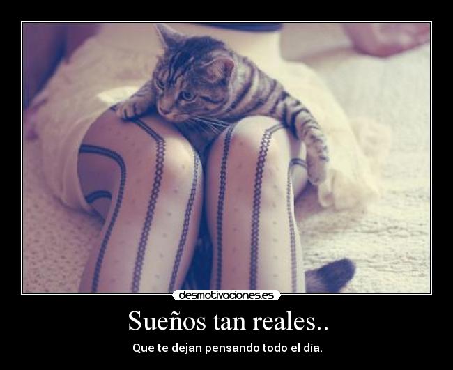 Sueños tan reales.. - 