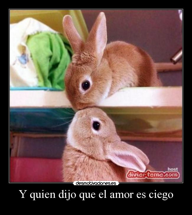 Y quien dijo que el amor es ciego -