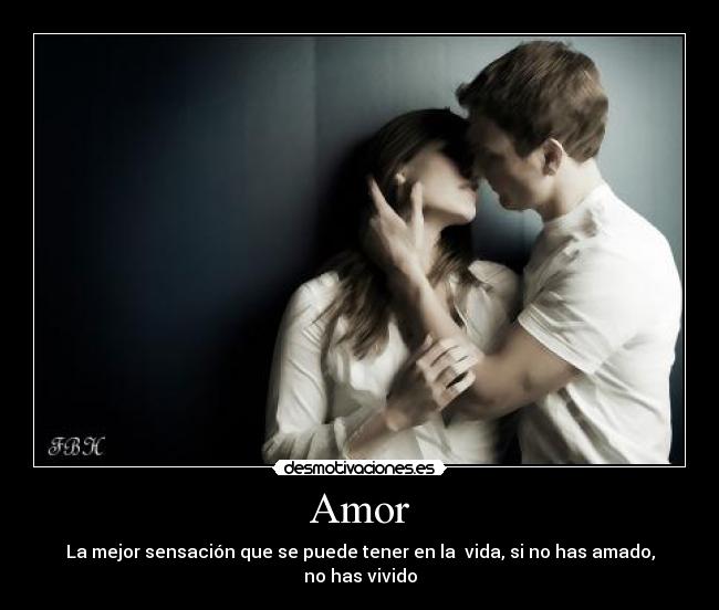 Amor - 