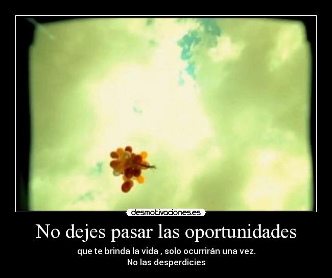 No dejes pasar las oportunidades - que te brinda la vida , solo ocurrirán una vez.
No las desperdicies