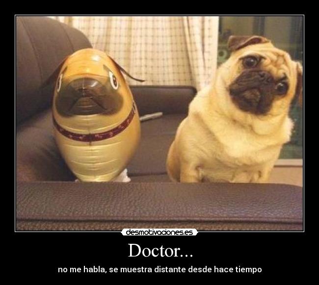 Doctor... - no me habla, se muestra distante desde hace tiempo