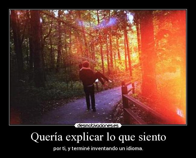Quería explicar lo que siento - 