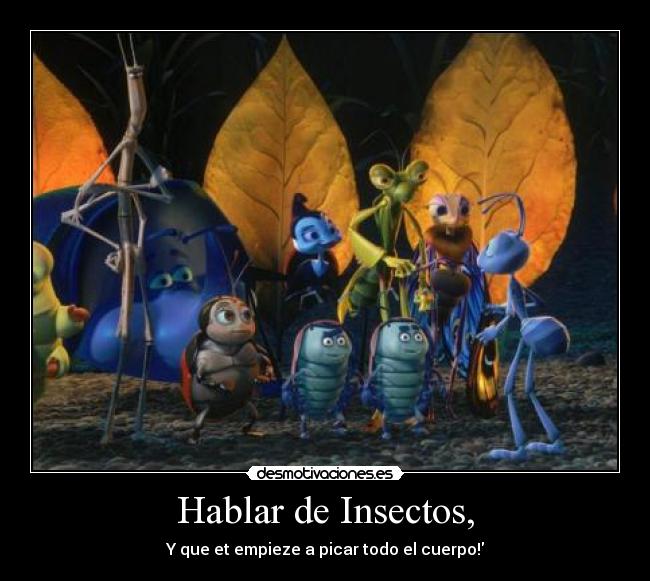 Hablar de Insectos, - Y que et empieze a picar todo el cuerpo!