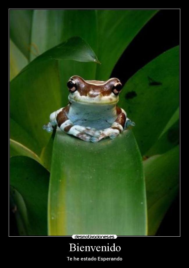 carteles bienvenido estado esperando theoldschool desmotivaciones