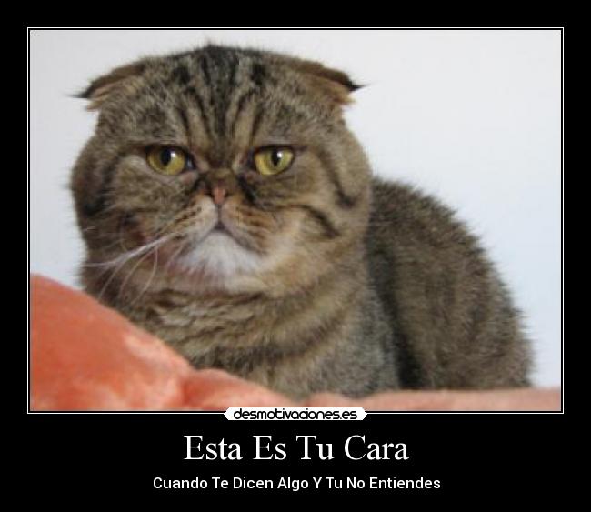 Esta Es Tu Cara - 