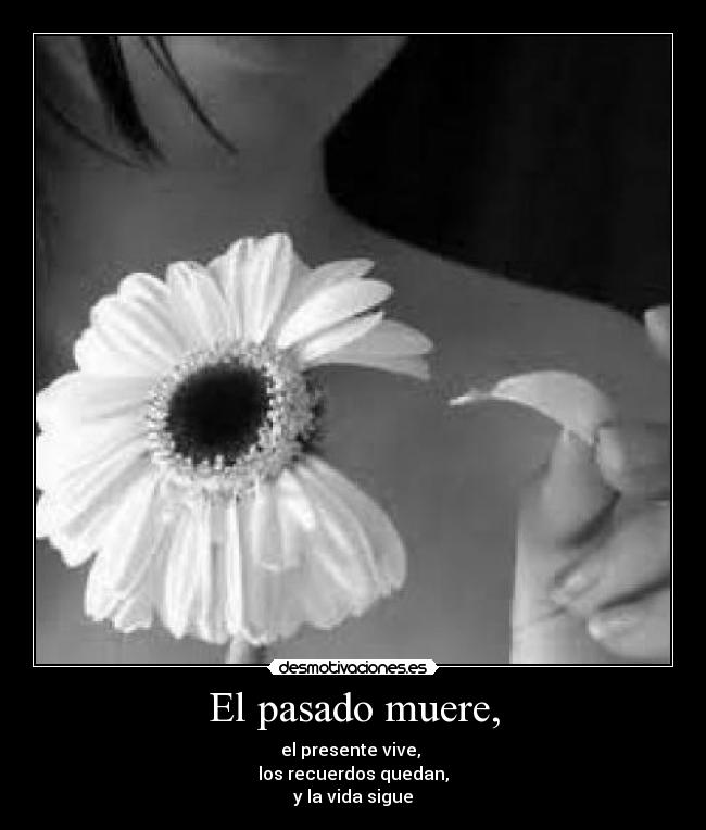 El pasado muere, - el presente vive, 
los recuerdos quedan,
y la vida sigue