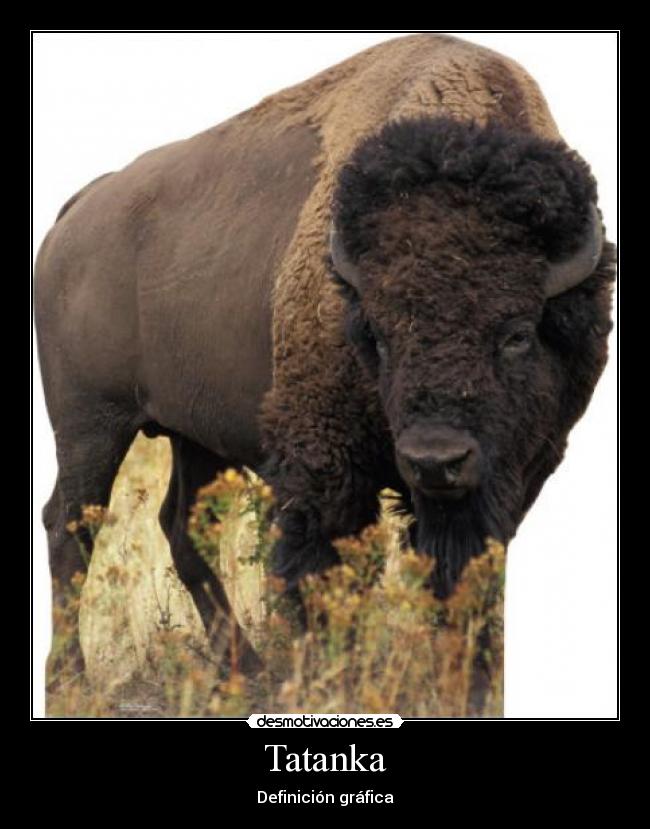 carteles tatanka definicion grafica danza con lobos desmotivaciones