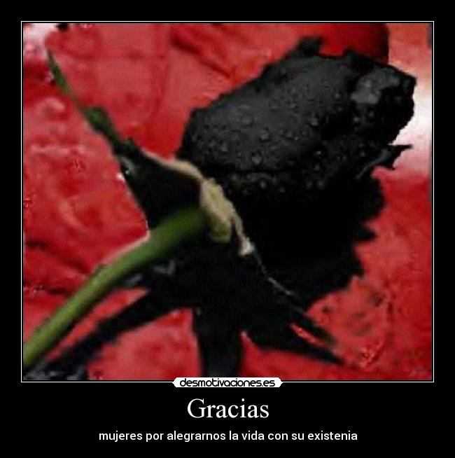 Gracias - mujeres por alegrarnos la vida con su existenia