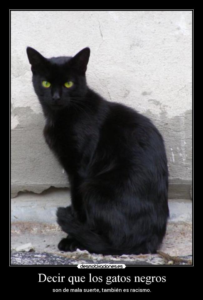 Decir que los gatos negros - son de mala suerte, también es racismo.