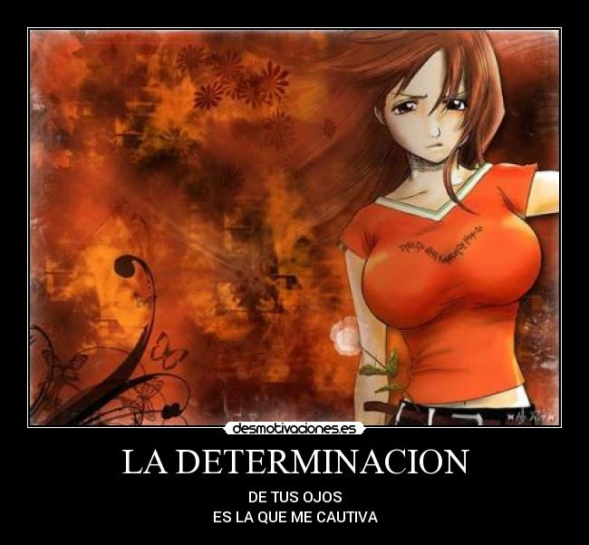 carteles orihime desmotivaciones