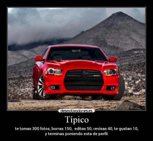 Típico - te tomas 300 fotos, borras 150, editas 50, revisas 40, te gustan 10,
y terminas poniendo esta de perfil.