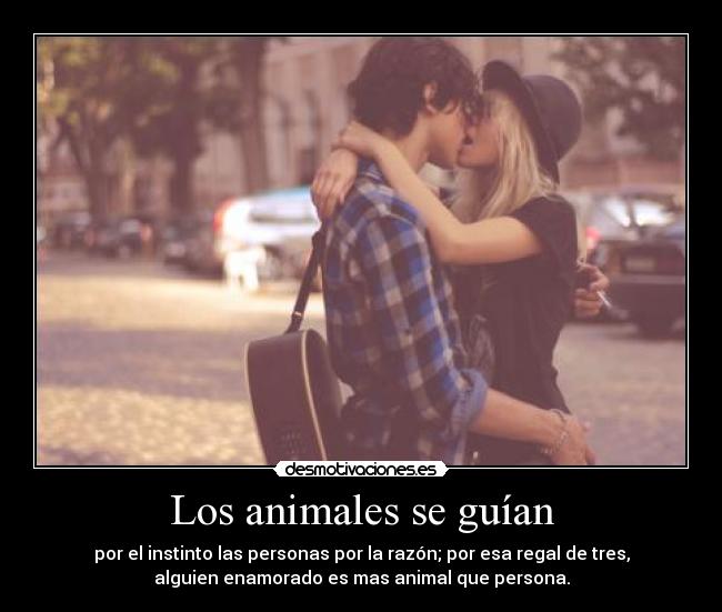 Los animales se guían -