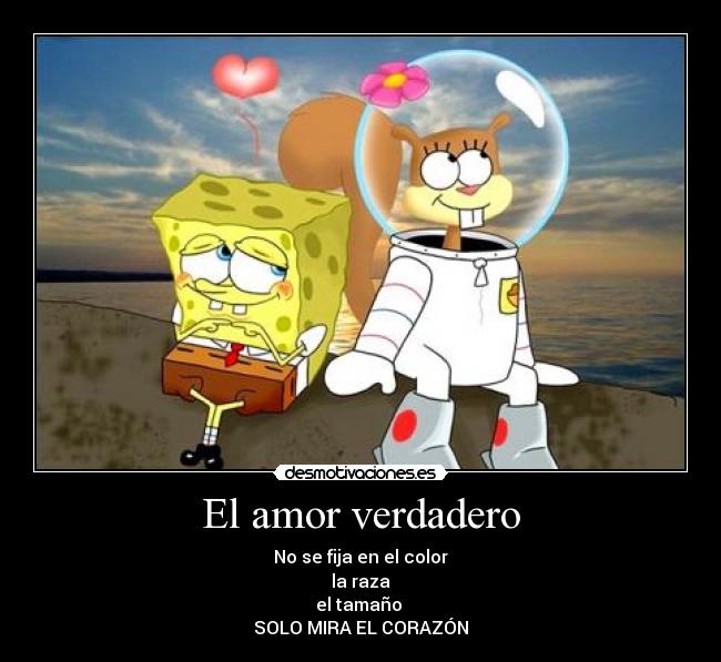 El amor verdadero - No se fija en el color
la raza
el tamaño
SOLO MIRA EL CORAZÓN