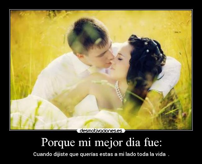 carteles franciis desmotivaciones