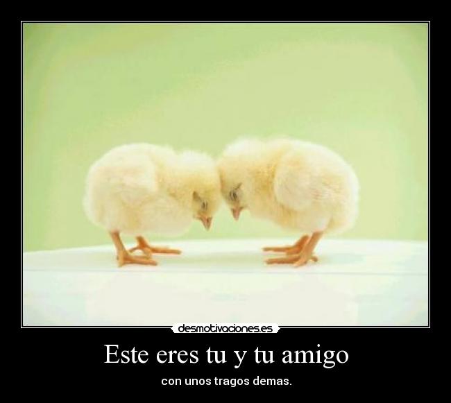 Este eres tu y tu amigo - con unos tragos demas.