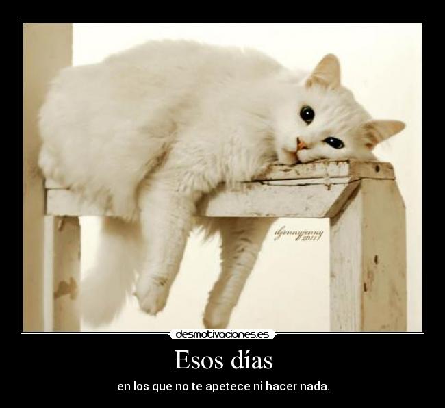 Esos días - en los que no te apetece ni hacer nada.