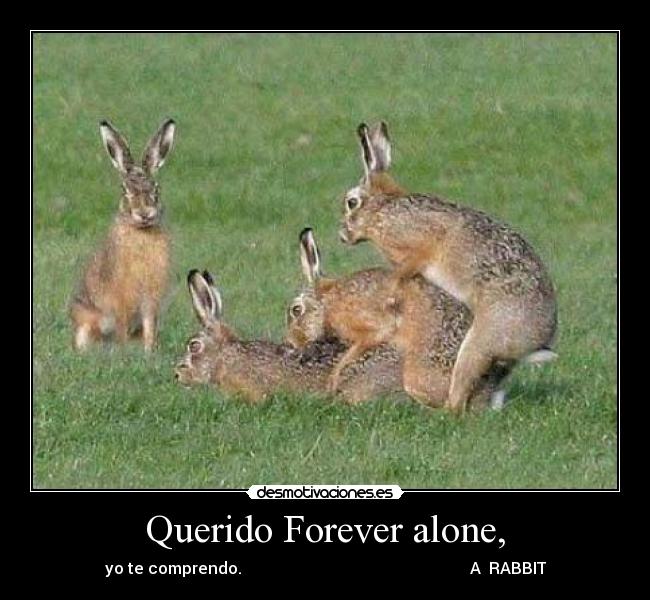 Querido Forever alone, -