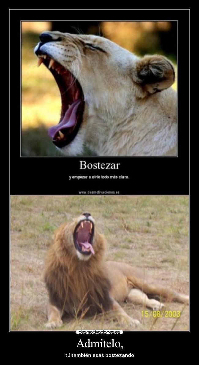 Admítelo, - tú también esas bostezando