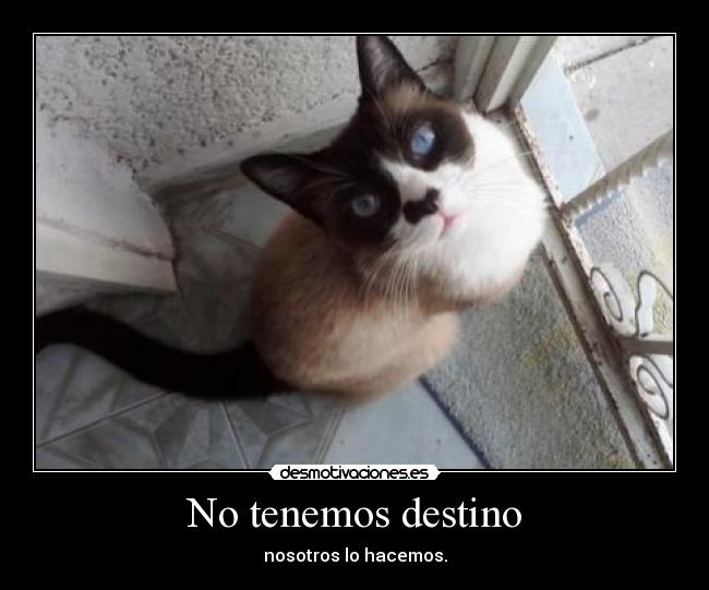 No tenemos destino - nosotros lo hacemos.