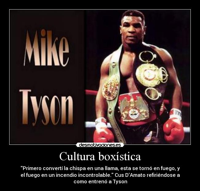 Cultura boxística - 