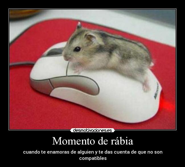 Momento de rábia - cuando te enamoras de alguien y te das cuenta de que no son compatibles