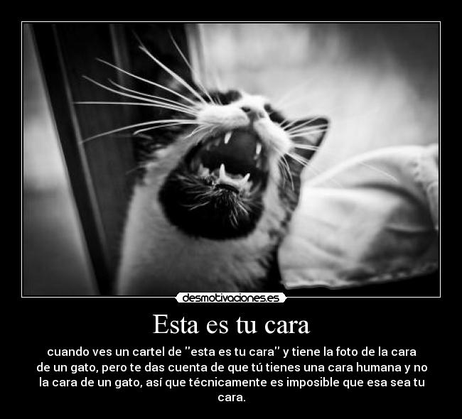 Esta es tu cara - cuando ves un cartel de esta es tu cara y tiene la foto de la cara
de un gato, pero te das cuenta de que tú tienes una cara humana y no
la cara de un gato, así que técnicamente es imposible que esa sea tu
cara.