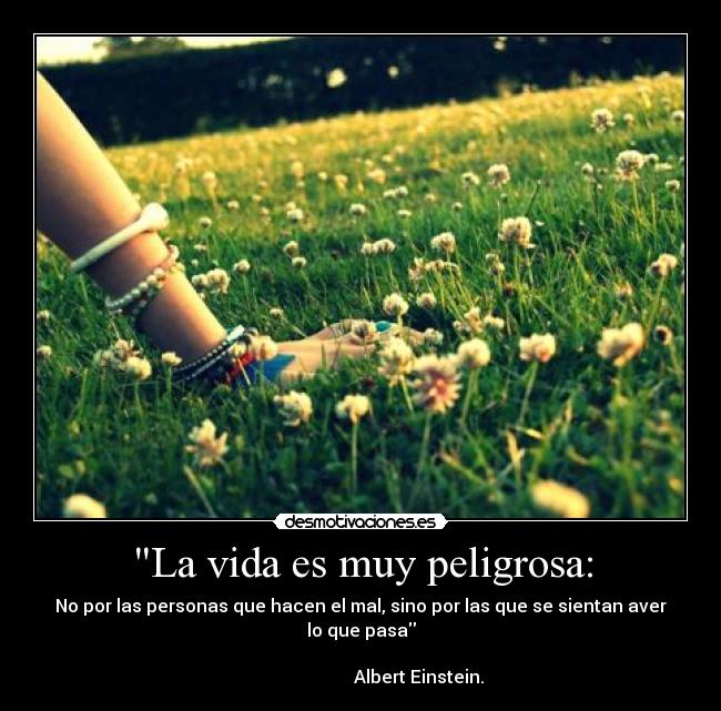 La vida es muy peligrosa: - No por las personas que hacen el mal, sino por las que se sientan aver lo que pasa
Albert Einstein.