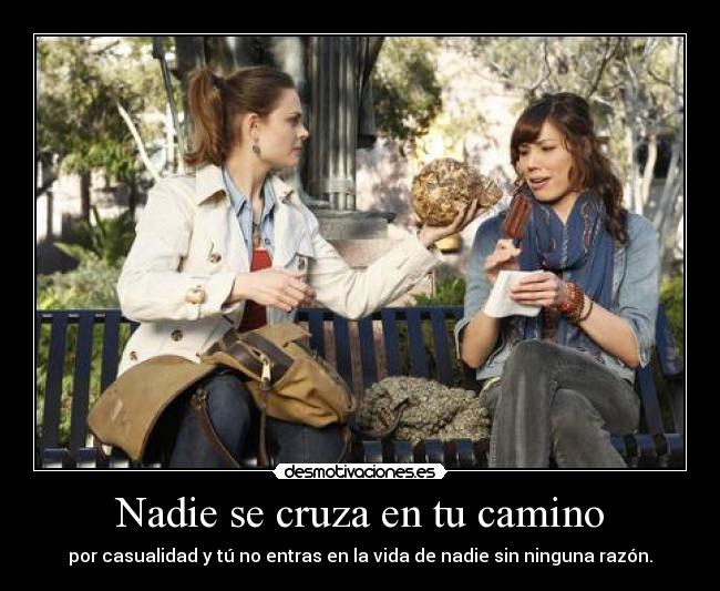 Nadie se cruza en tu camino -