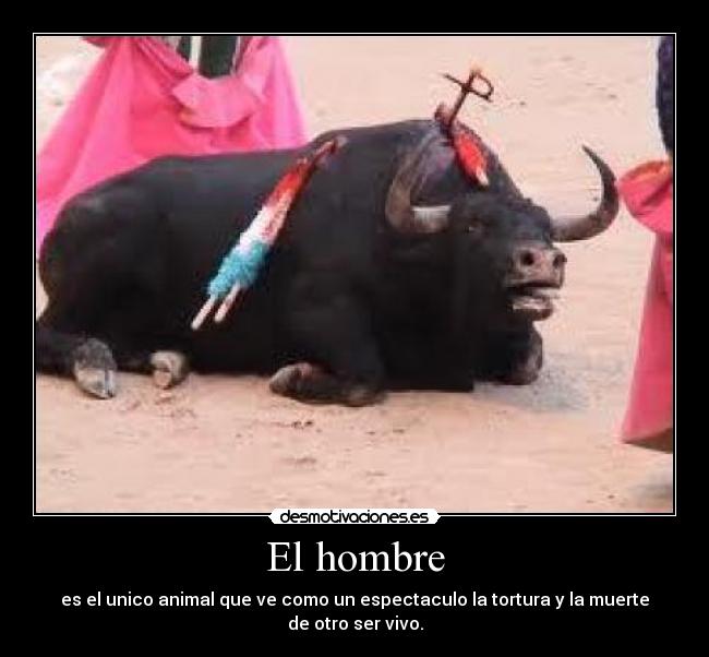 El hombre - es el unico animal que ve como un espectaculo la tortura y la muerte de otro ser vivo.