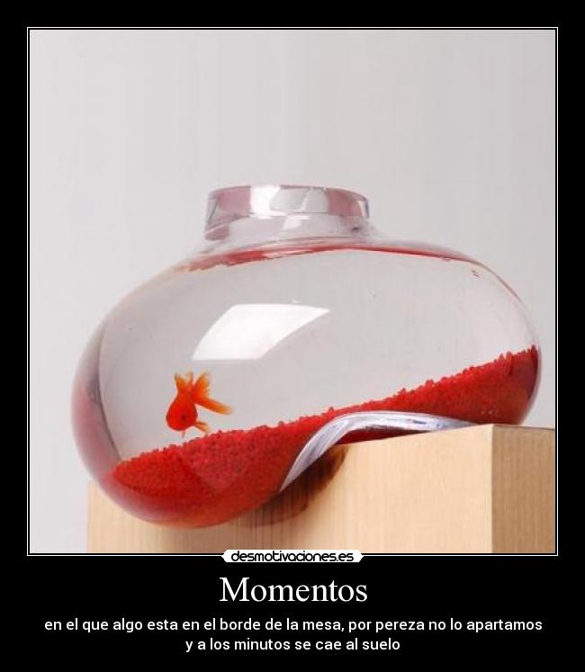 Momentos - 