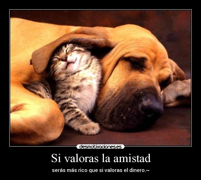 Si valoras la amistad - serás más rico que si valoras el dinero.~