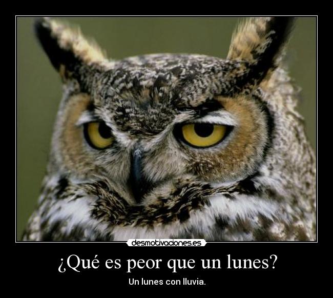 ¿Qué es peor que un lunes? -