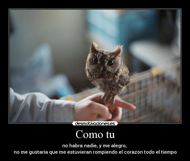 Como tu -
