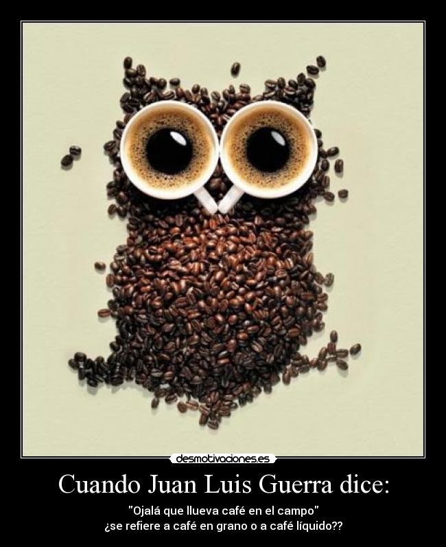 Cuando Juan Luis Guerra dice: - Ojalá que llueva café en el campo
¿se refiere a café en grano o a café líquido??