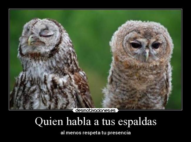 carteles aunque sea jodido chismoso desmotivaciones