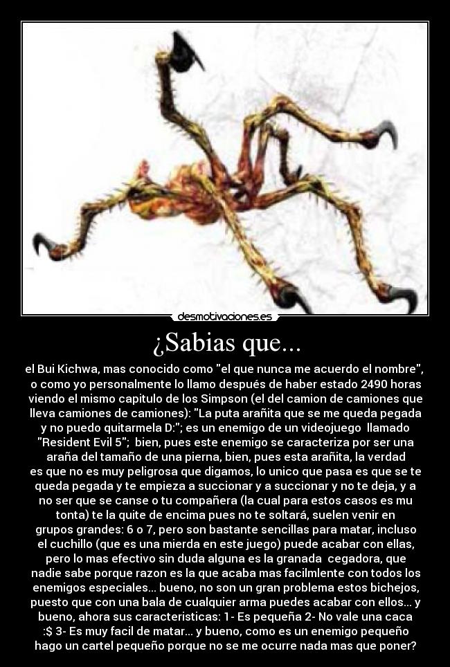 ¿Sabias que... - el Bui Kichwa, mas conocido como el que nunca me acuerdo el nombre,
o como yo personalmente lo llamo después de haber estado 2490 horas
viendo el mismo capitulo de los Simpson (el del camion de camiones que
lleva camiones de camiones): La puta arañita que se me queda pegada
y no puedo quitarmela D:; es un enemigo de un videojuego llamado
Resident Evil 5; bien, pues este enemigo se caracteriza por ser una
araña del tamaño de una pierna, bien, pues esta arañita, la verdad
es que no es muy peligrosa que digamos, lo unico que pasa es que se te
queda pegada y te empieza a succionar y a succionar y no te deja, y a
no ser que se canse o tu compañera (la cual para estos casos es mu
tonta) te la quite de encima pues no te soltará, suelen venir en
grupos grandes: 6 o 7, pero son bastante sencillas para matar, incluso
el cuchillo (que es una mierda en este juego) puede acabar con ellas,
pero lo mas efectivo sin duda alguna es la granada cegadora, que
nadie sabe porque razon es la que acaba mas facilmlente con todos los
enemigos especiales... bueno, no son un gran problema estos bichejos,
puesto que con una bala de cualquier arma puedes acabar con ellos... y
bueno, ahora sus caracteristicas: 1- Es pequeña 2- No vale una caca
:$ 3- Es muy facil de matar... y bueno, como es un enemigo pequeño
hago un cartel pequeño porque no se me ocurre nada mas que poner?