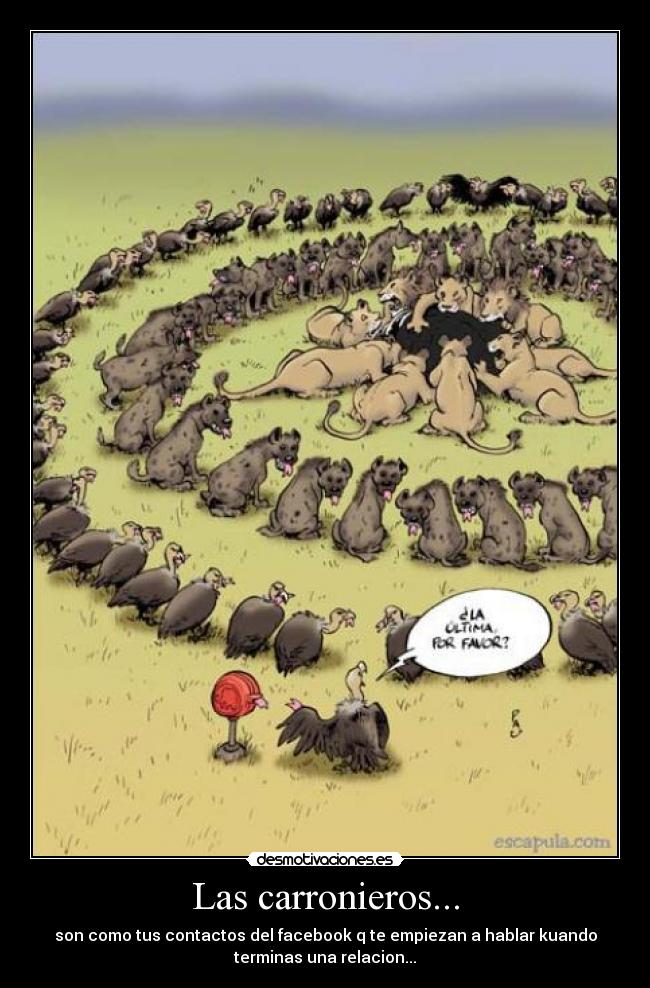 carteles zoak340 desmotivaciones