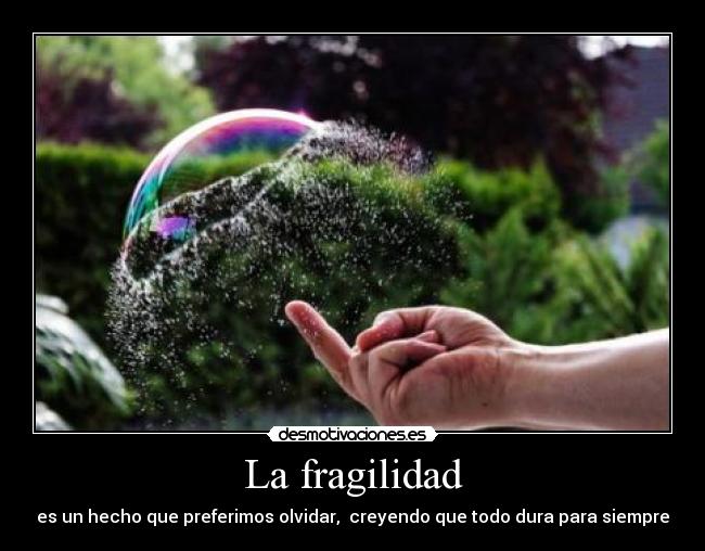 La fragilidad - es un hecho que preferimos olvidar, creyendo que todo dura para siempre