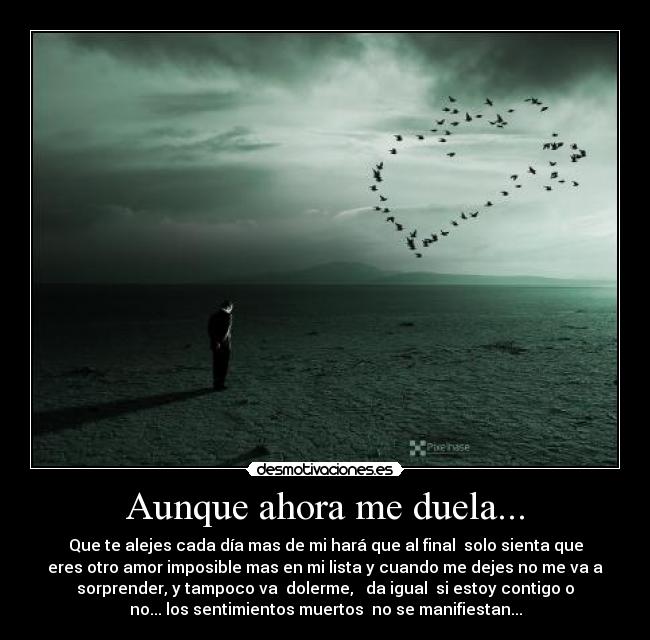 Aunque ahora me duela... -
