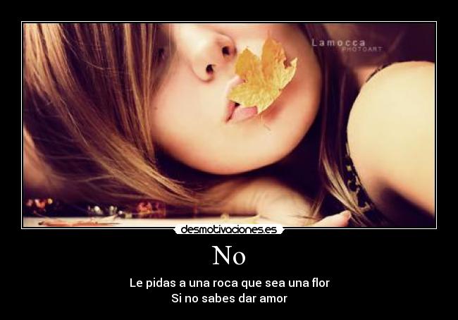 No - Le pidas a una roca que sea una flor
Si no sabes dar amor