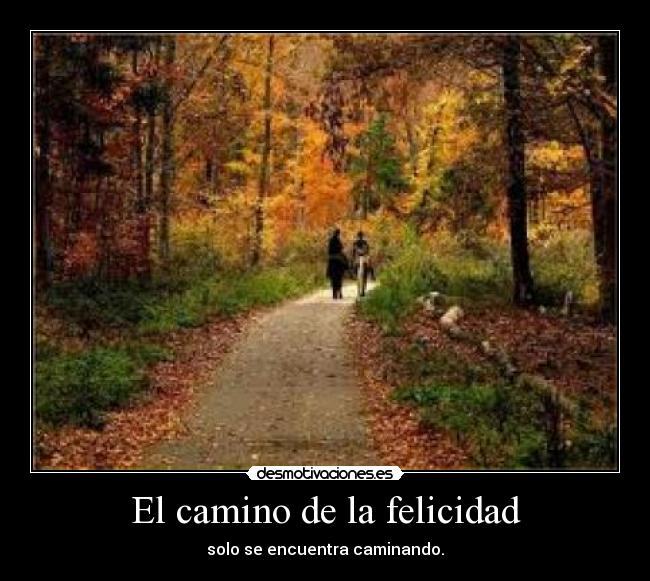El camino de la felicidad -