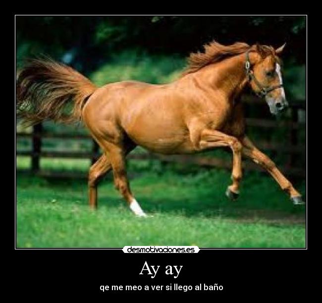 Ay ay - qe me meo a ver si llego al baño