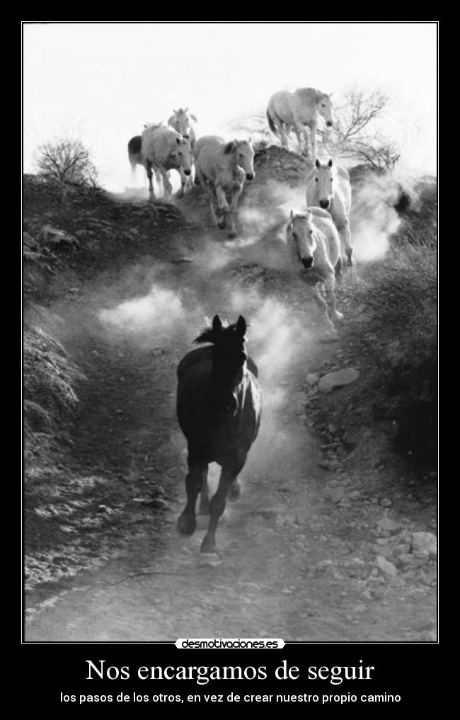 Nos encargamos de seguir -