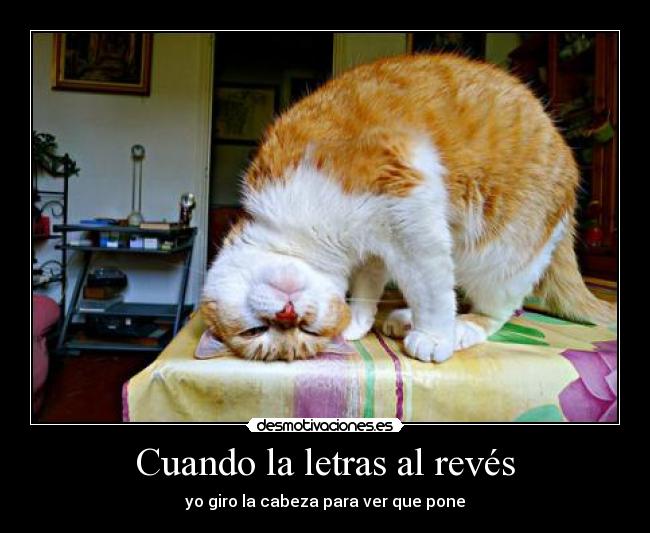 Cuando la letras al revés - yo giro la cabeza para ver que pone
