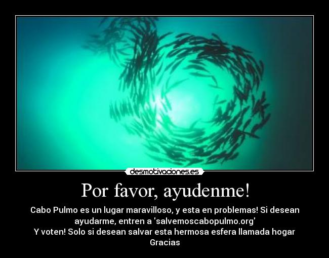 Por favor, ayudenme! -