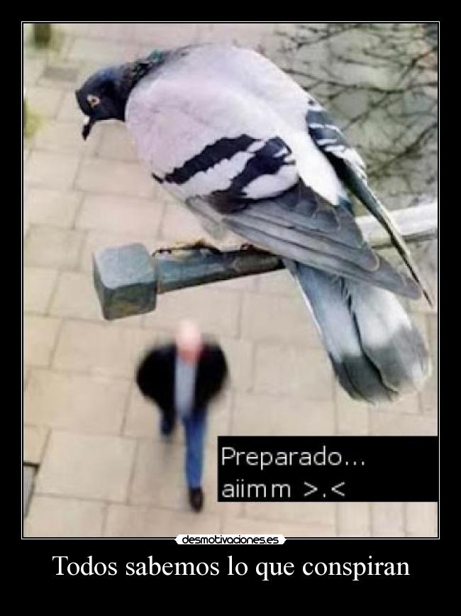 Todos sabemos lo que conspiran - 