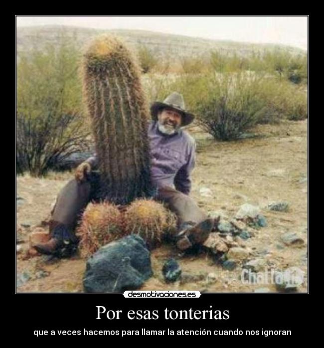 Por esas tonterias - que a veces hacemos para llamar la atención cuando nos ignoran