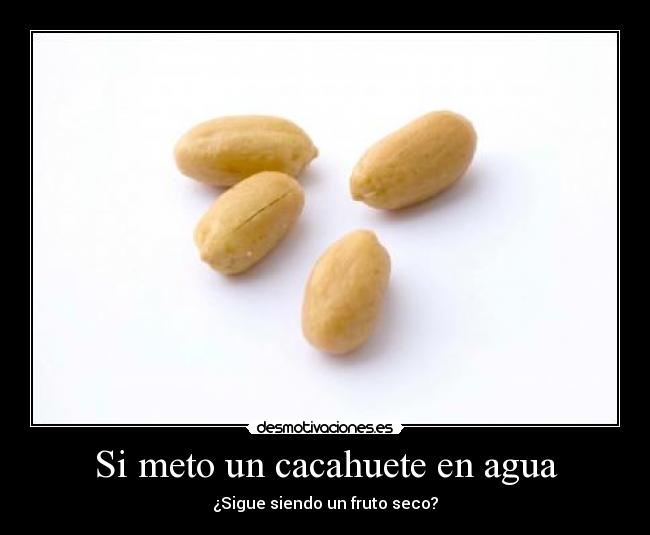 Si meto un cacahuete en agua - 